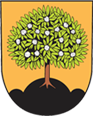 Město Nasavrky 